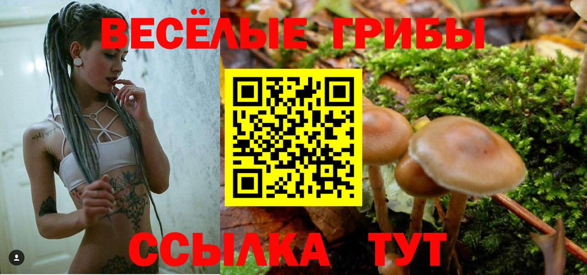 Галлюциногенные грибы MAGIC MUSHROOMS  Вход с VPN  Волгодонск  Галлюциногенные грибы Psilocybine cubensis 