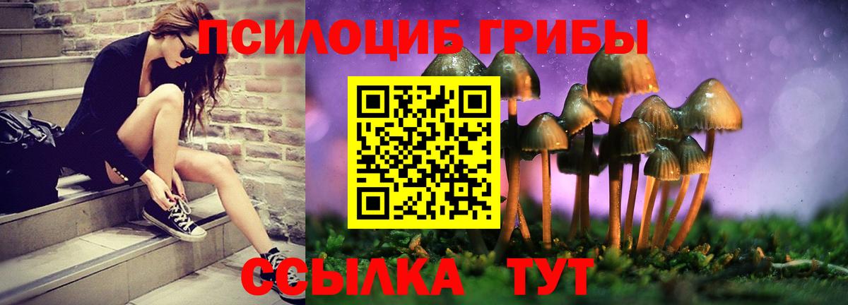 Псилоцибиновые грибы Magic Shrooms Волгодонск